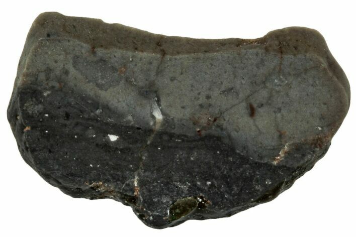 Lunar Meteorite ( g) Slice - Touat #303658